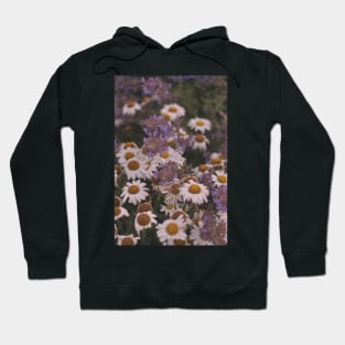 Field of daisies/camomile Hoodie